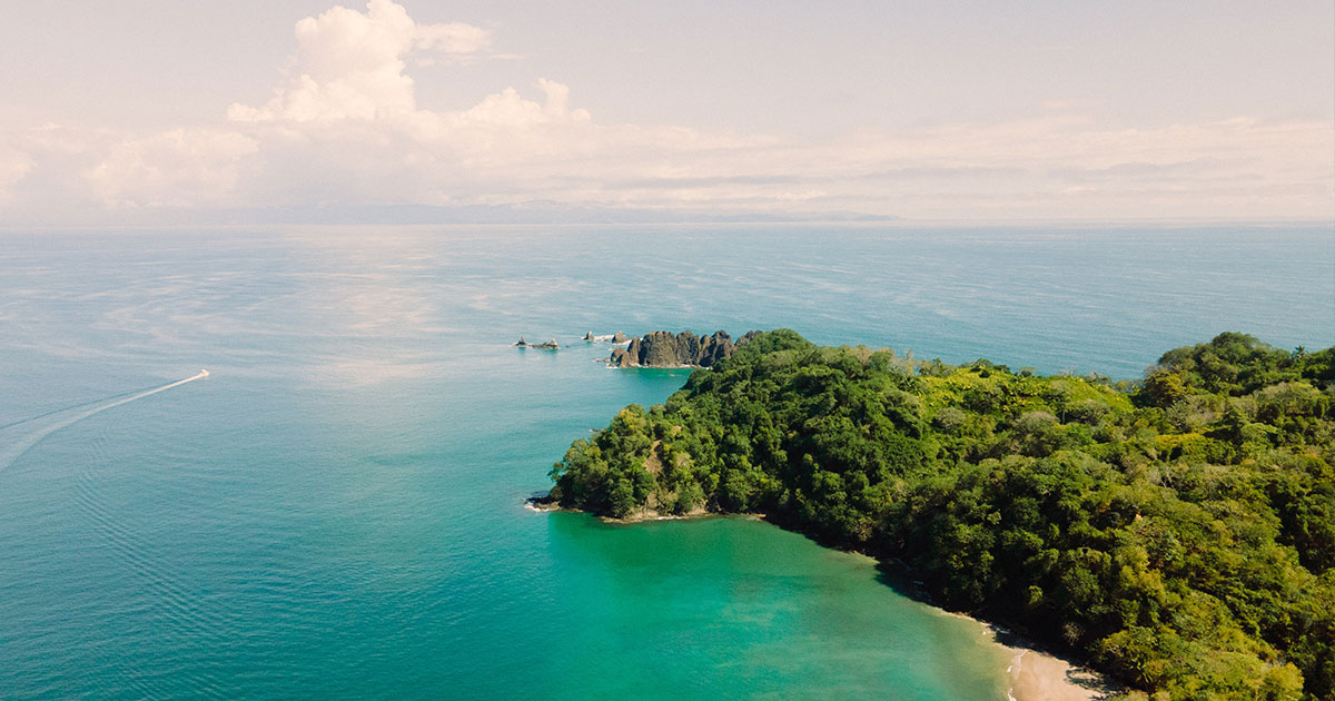From the Jungle to the Beach Manuel Antonio National Park Adventures with Budget Car Rental
